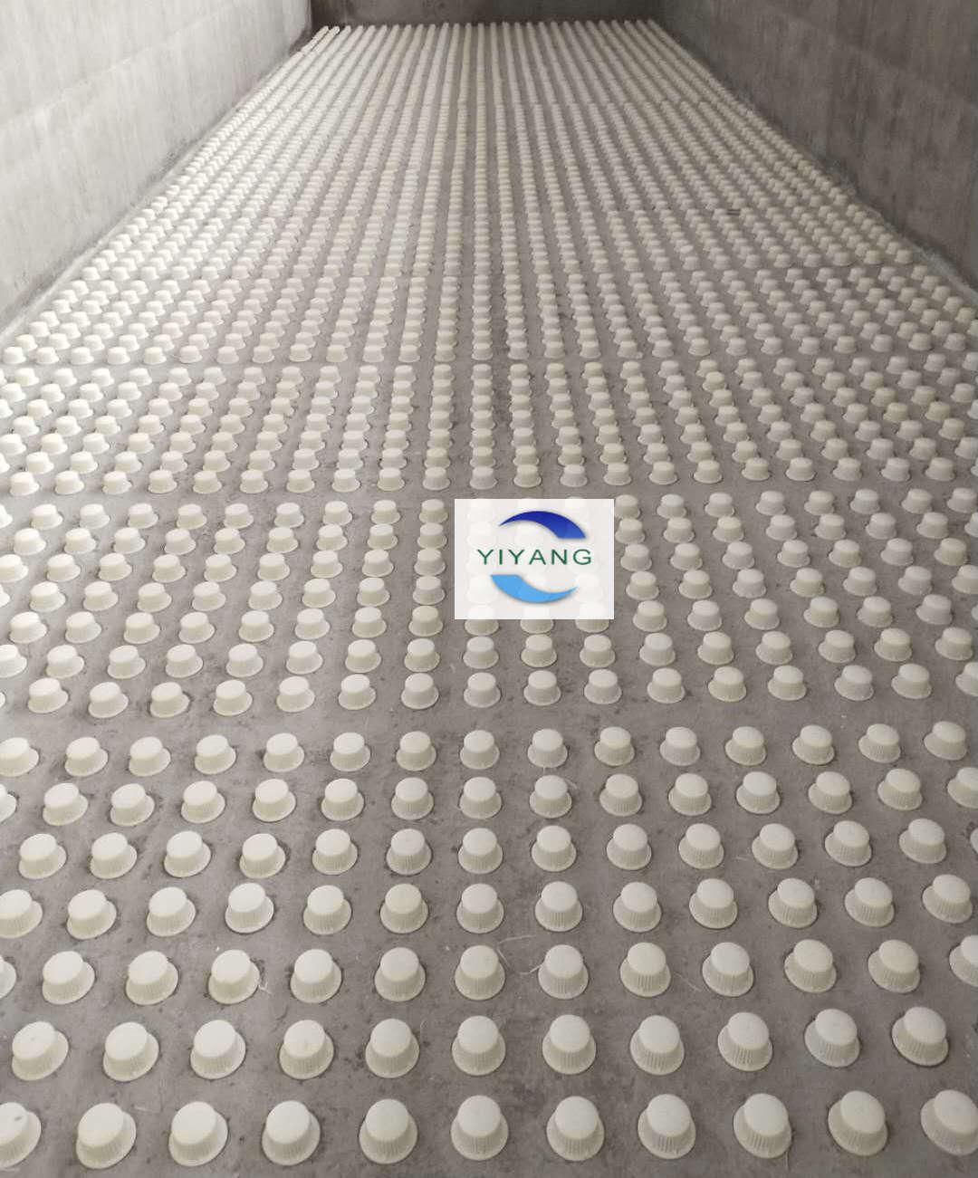 1592963118936520.jpg IMG_0473(20200606-154619).JPG